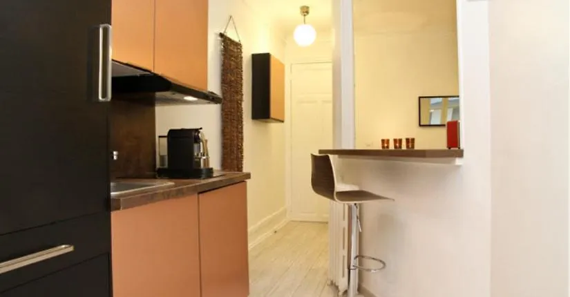 Champs-elysees Apartment